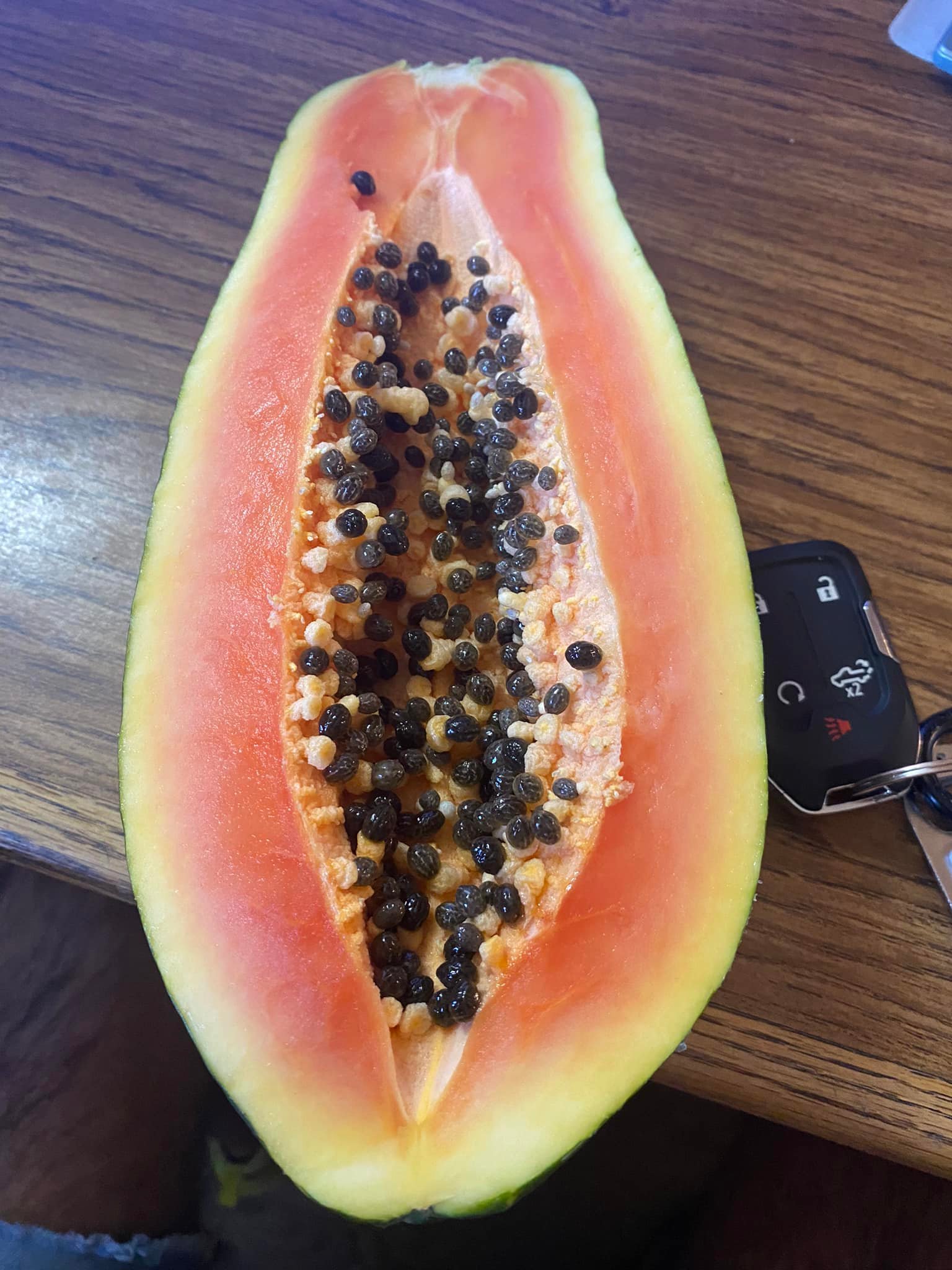 papaya seed