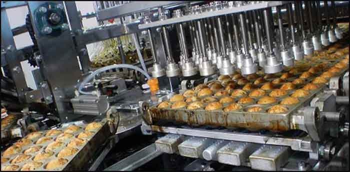 Food Processing and Preservation of cottage industry